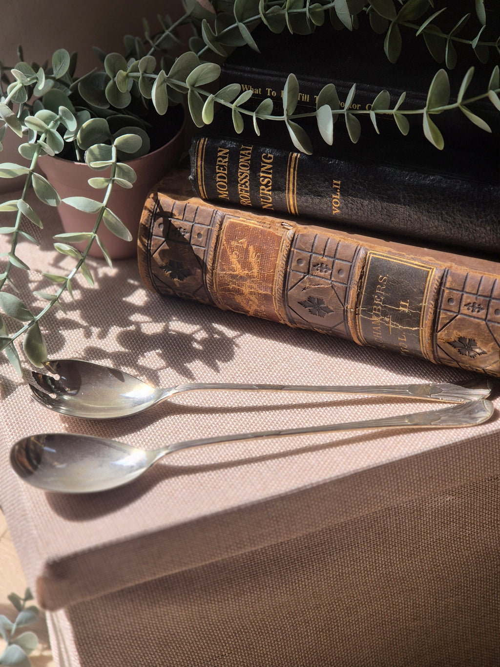 Vintage EPNS Serving Spoon Set | Silver Plate Salad & Sugar Spoons