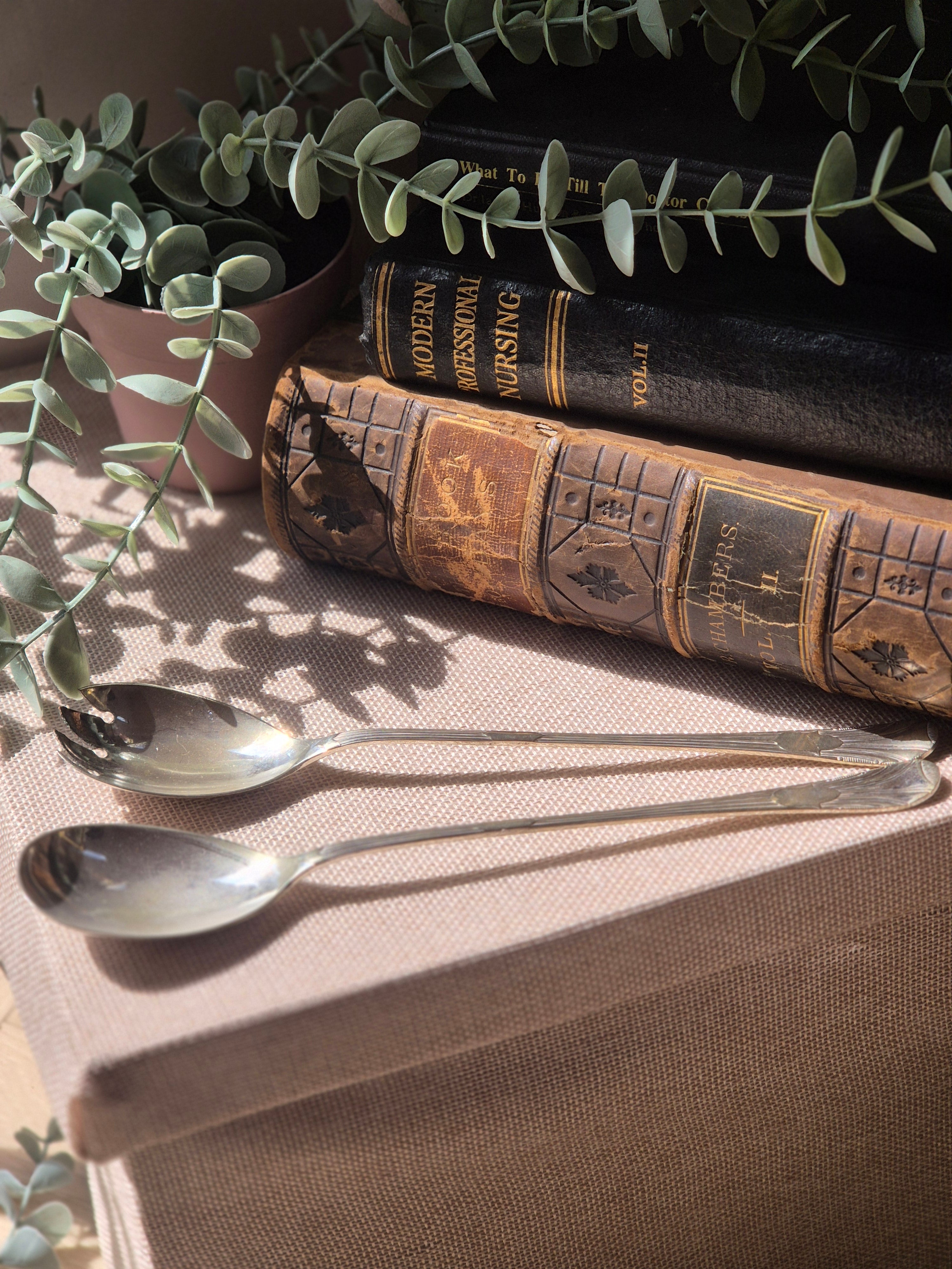 Vintage EPNS Serving Spoon Set | Silver Plate Salad & Sugar Spoons