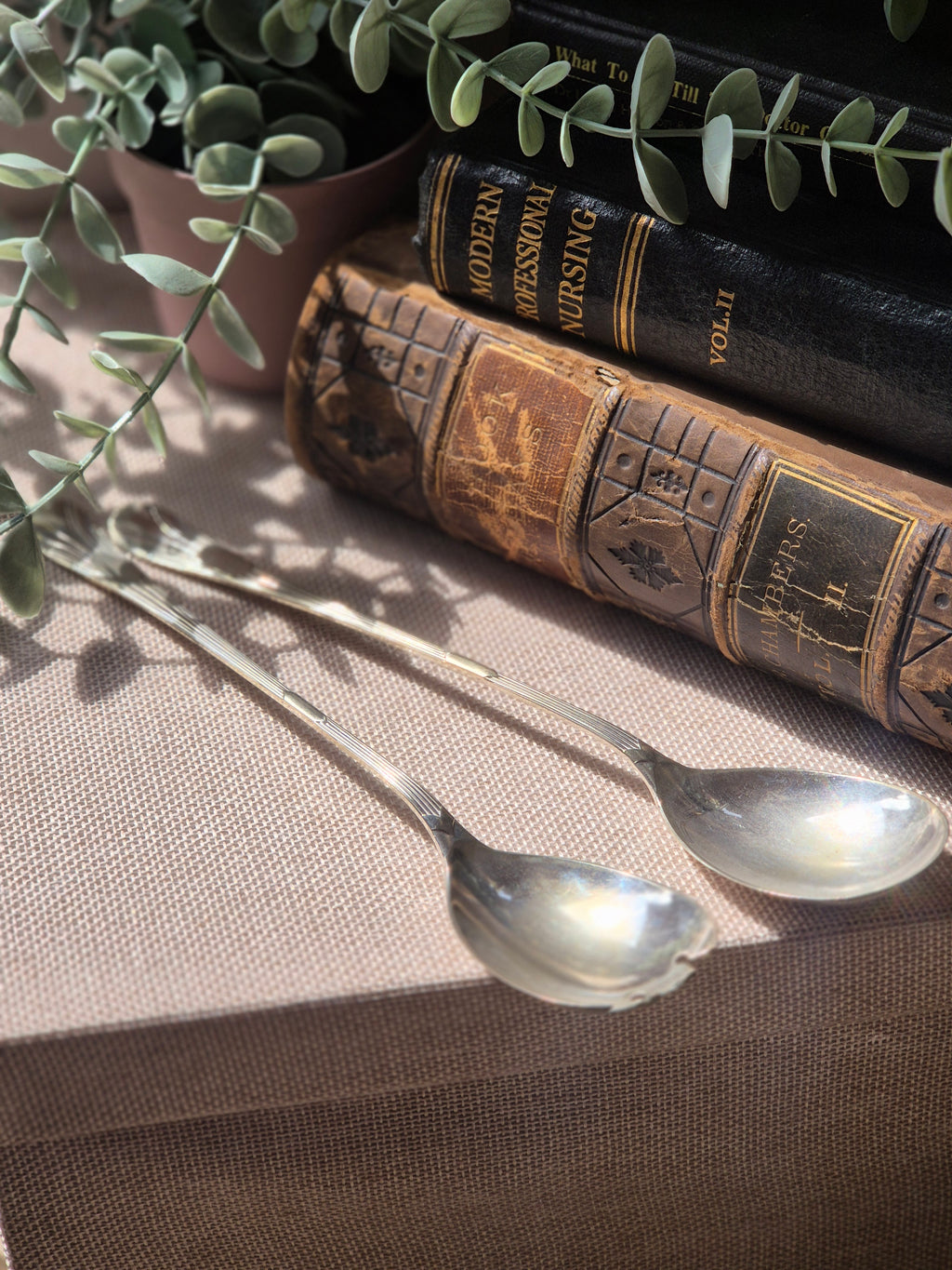 Vintage EPNS Serving Spoon Set | Silver Plate Salad & Sugar Spoons